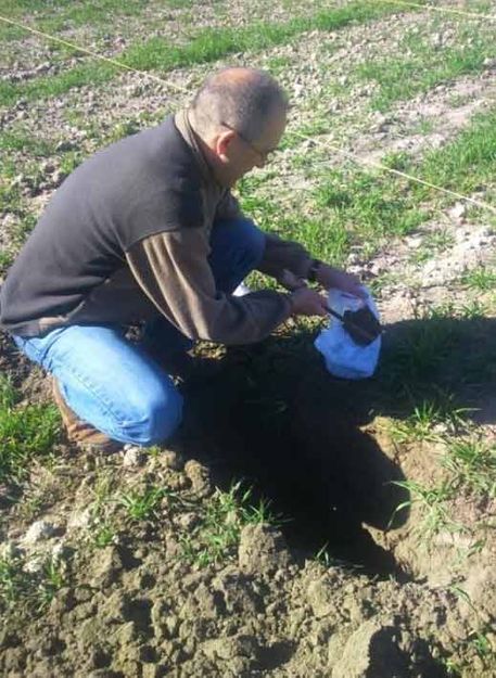 Viveros Ponce Lajara hombre tomando muestras del suelo