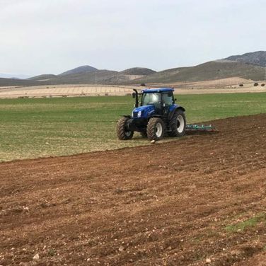 Viveros Ponce Lajara tractor